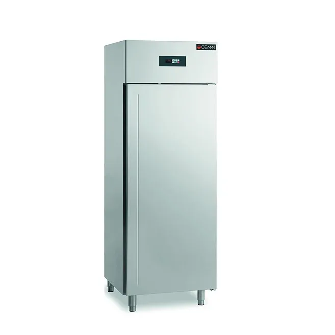 Ledusskapis SLIM SFN/01